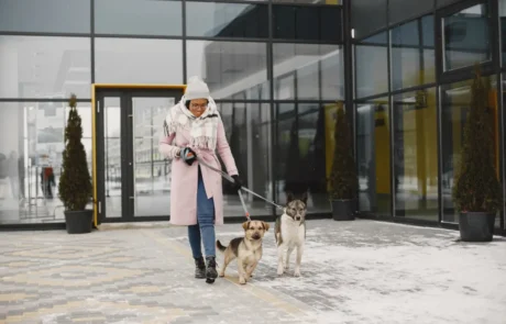 חיות מחמד בבניין משותף